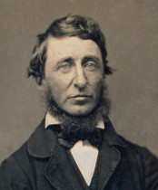 Henry David Thoreau photo